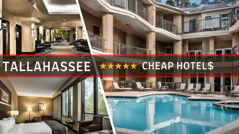 Tallahassee Hotels 2024 | Top 10 Best Budget-Friendly Hotels in in Tallahassee Florida