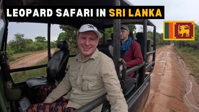 Yala National Park Safari: Did We Spot The Elusive Leopard? 🇱🇰